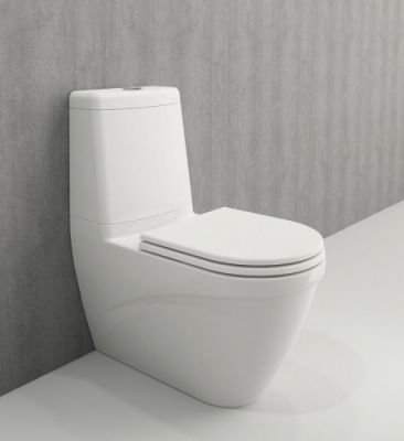 Унитаз моноблок Bocchi Taormina 1017-001-0129