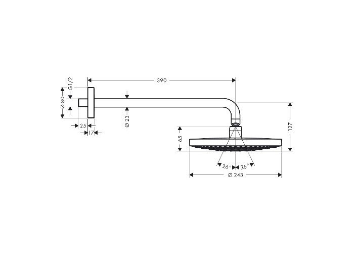 Верхний душ Hansgrohe Raindance Select S 240 2 jet с держателем 26466400