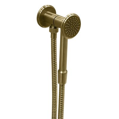 SD027A11Q AquaElite INstile душевой гарнитур, Бронза