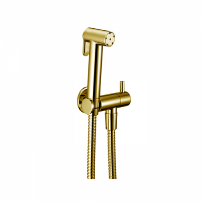 Cisal Shower Гигиенический комплект со шлангом 120 см,вывод с держателем, цвет: золото A300790024