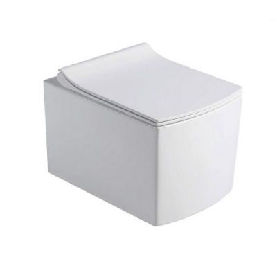 719W00 Подвесной унитаз B&W W-719 Rimless / UF seat cover / Fixing screw 51 см