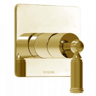 Bossini Liberty Смеситель для душа, встраиваемый, цвет: золото Z00067.021