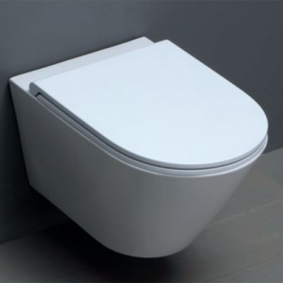 AZZURRA FORMA Сиденье для унитаза быстросъемное с микролифтом, цвет: белый/хром