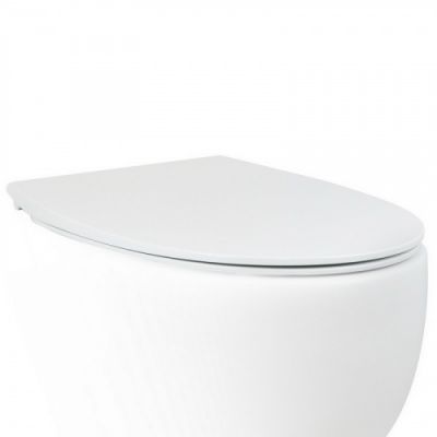АеТ Dot 2.0 C555R100 Крышка с сиденьем механизм soft-close, цвет белый, крепления хром