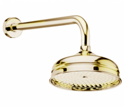 Душ d 200 мм. с кронштейном 360 мм Webert AC0014010 золото