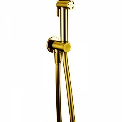 CISAL Shower Гидроершик со шлангом 120 см, цвет золото A300791024