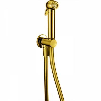 CISAL Shower Гигиенический душ со шлангом 120 см, цвет золото SC00791024